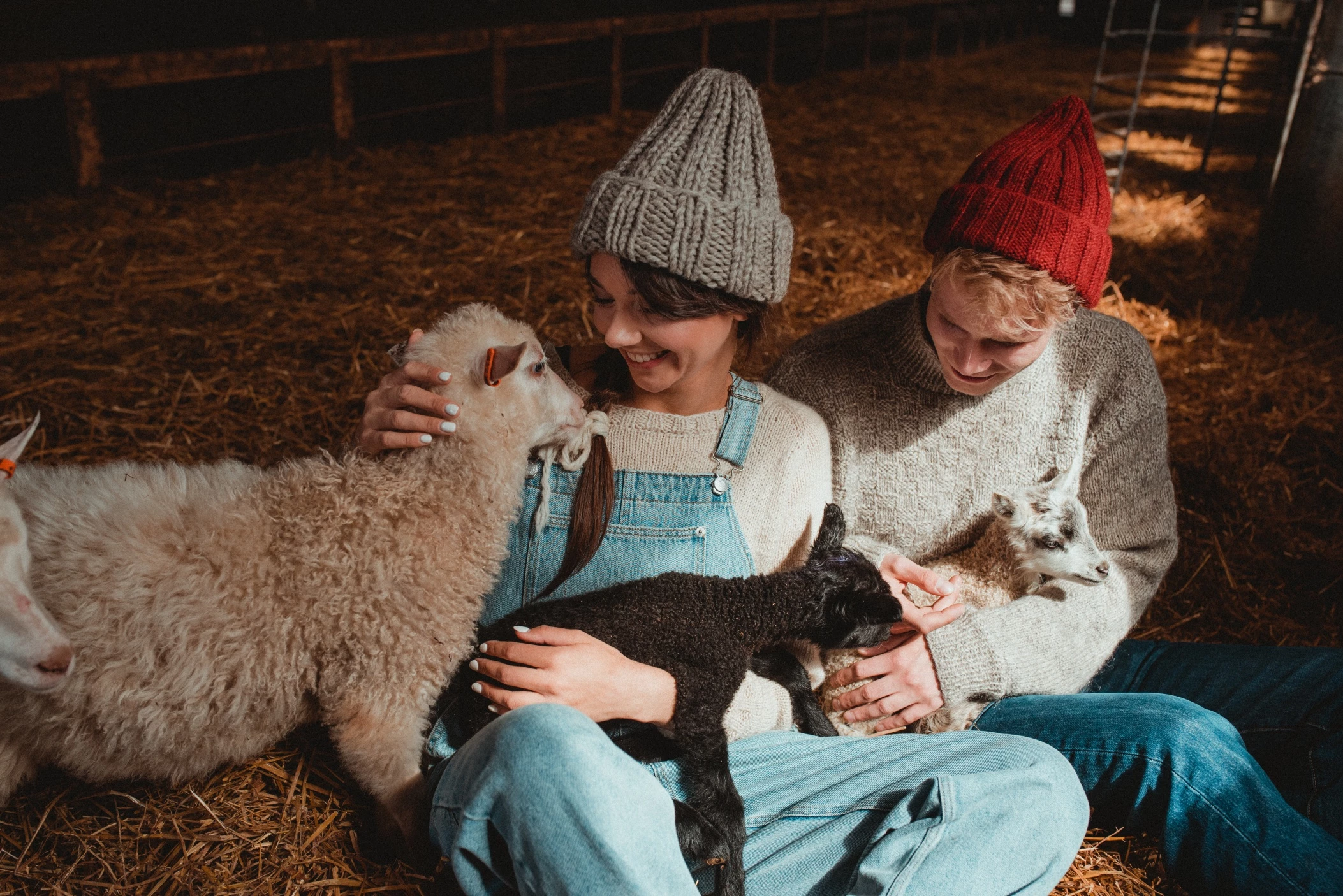 MUFFI Myssyfarmi MUFFI -Hanwag butikk 6430040190180 d muffi myssy 20