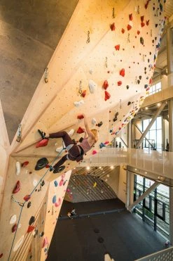 Black Diamond MOMENTUM - WOMENS 3 Black Diamond MOMENTUM - WOMENS -Hanwag butikk 793661480693 f momentum black diamond 20